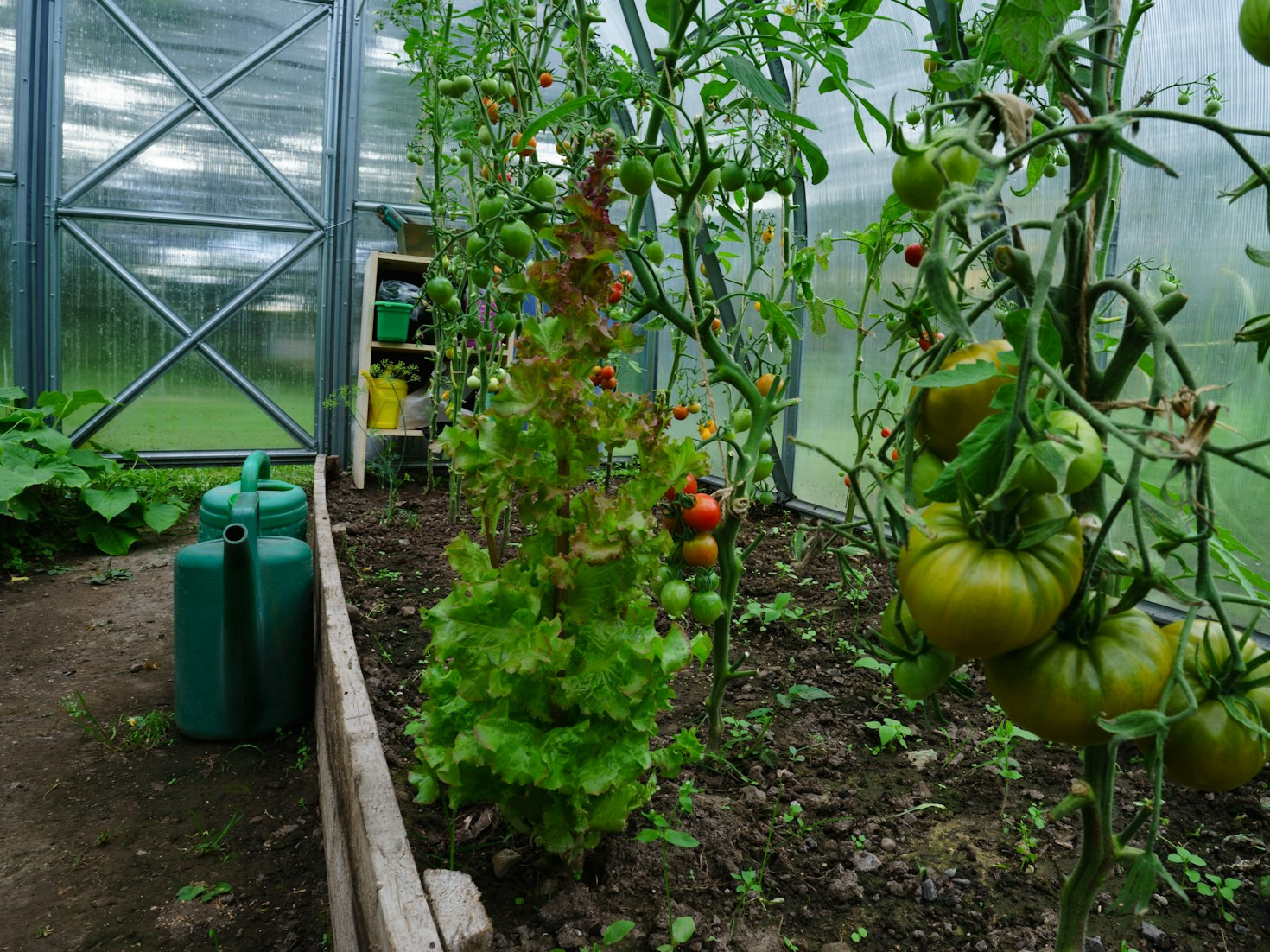Il ruolo della cucina nel costruire un futuro sostenibile